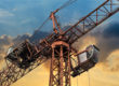 crane